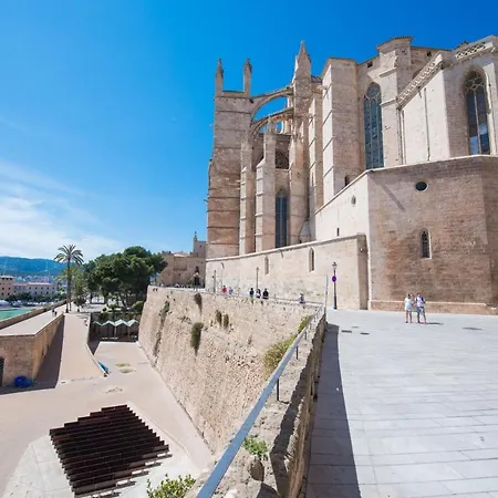 Centric Palma